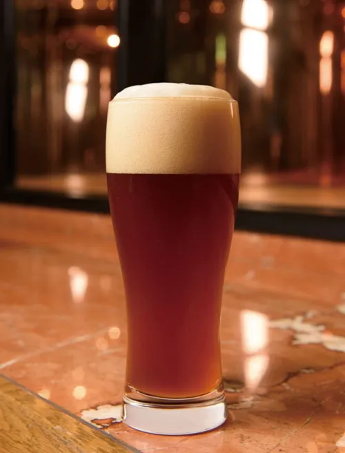 후쿠오카 수제맥주 호텔 오쿠라 양조장-SchÖn Alt