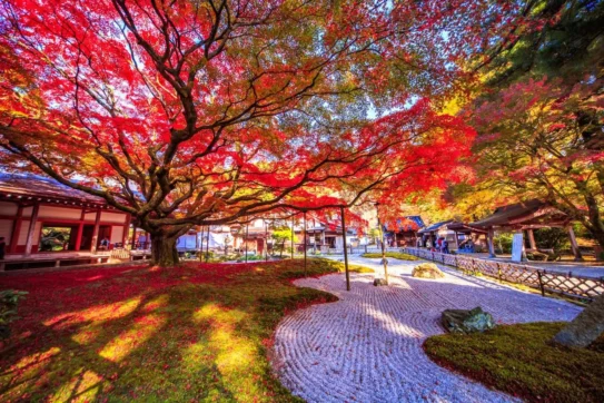 ホテルオークラ福岡のお知らせ｜10月の福岡おすすめイベント情報